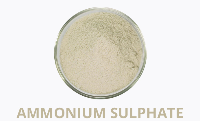 Ammonium Sulphate